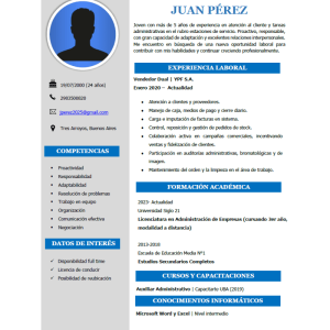 Diseño de Currículum de Alto Impacto